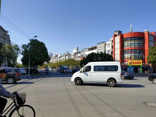 大华锦绣四季说 顾村不是村