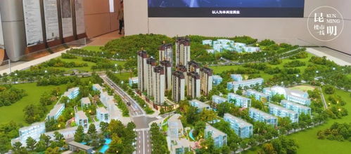 上新 吹风价1.5万 平 大华低价挑战 东三环