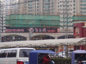 大华铂金华府
