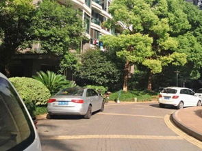 大华清水湾花园优点 不足,大华清水湾花园怎么样,大华清水湾花园周边房产中介经纪人评价