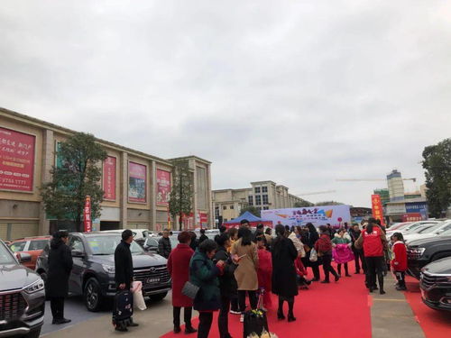 大华国际秋季车展盛大开启